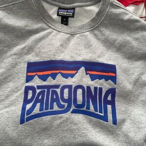 Patagonia Gray and Blue Logo Shirt
